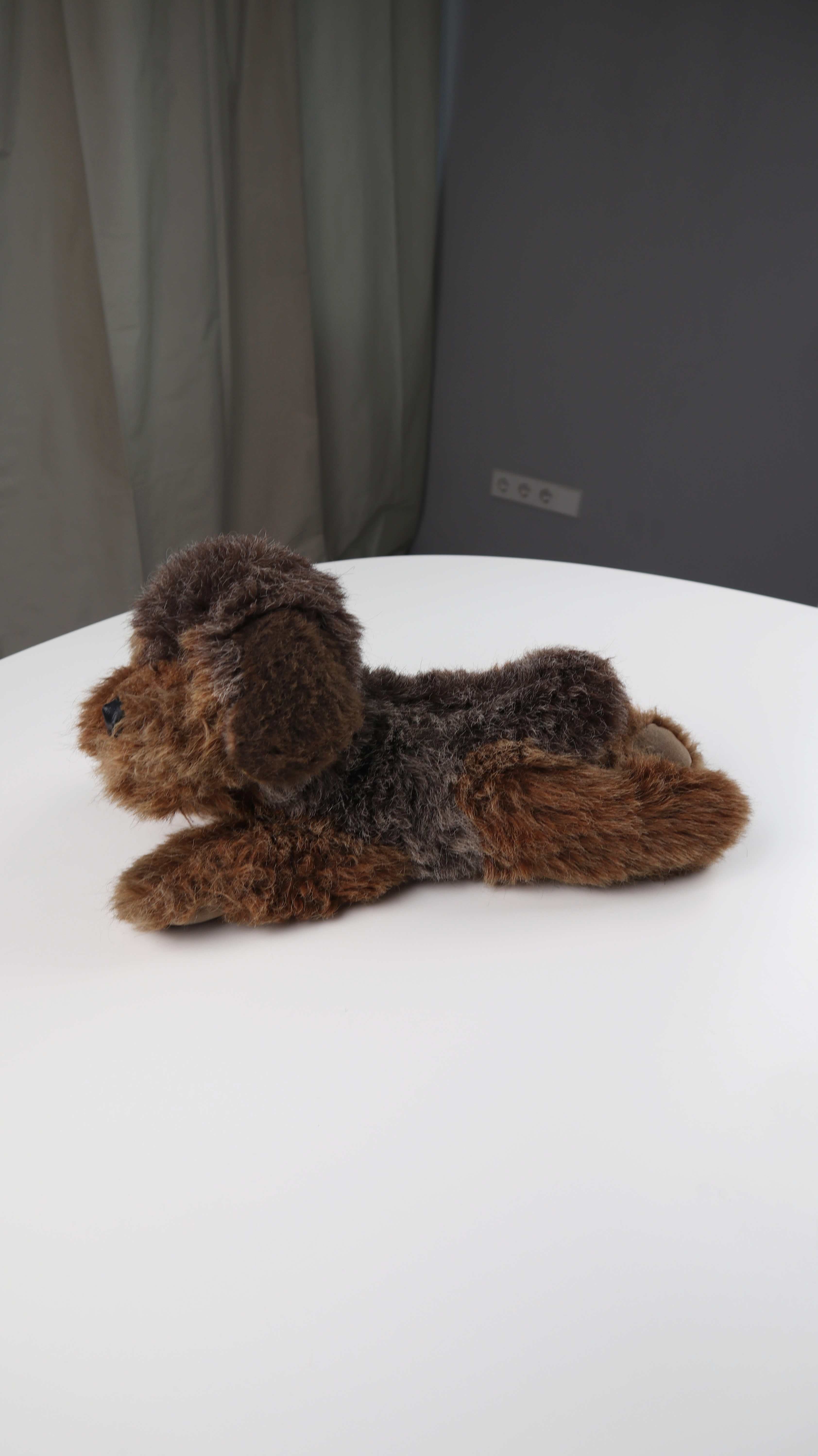 Steiff Dackel Hund Stofftier Floppy Lumpi Nr. 2886