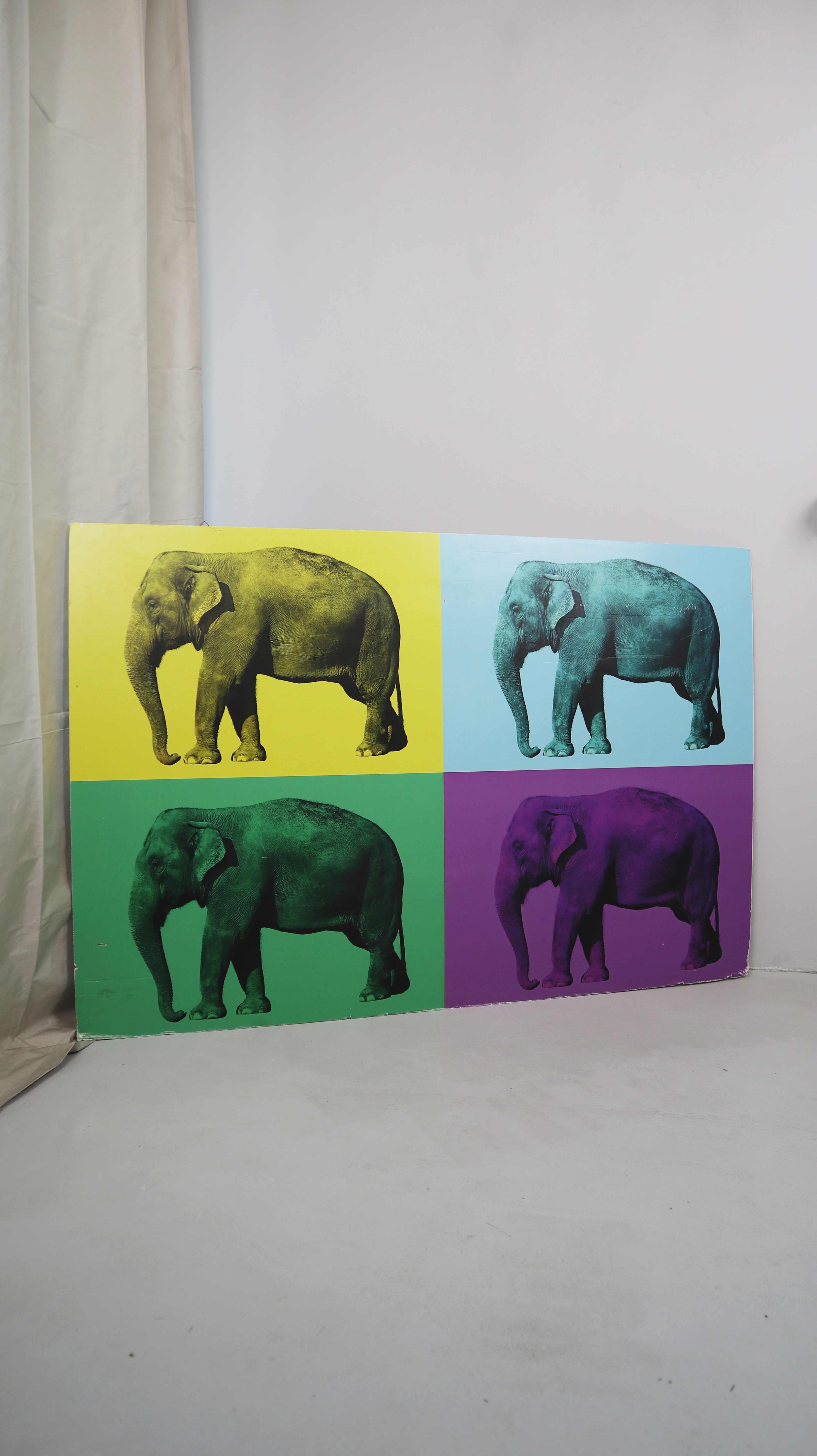 Bild Elefanten Wandbild Bunt Pappbild bedruckt Elefant Multicolor