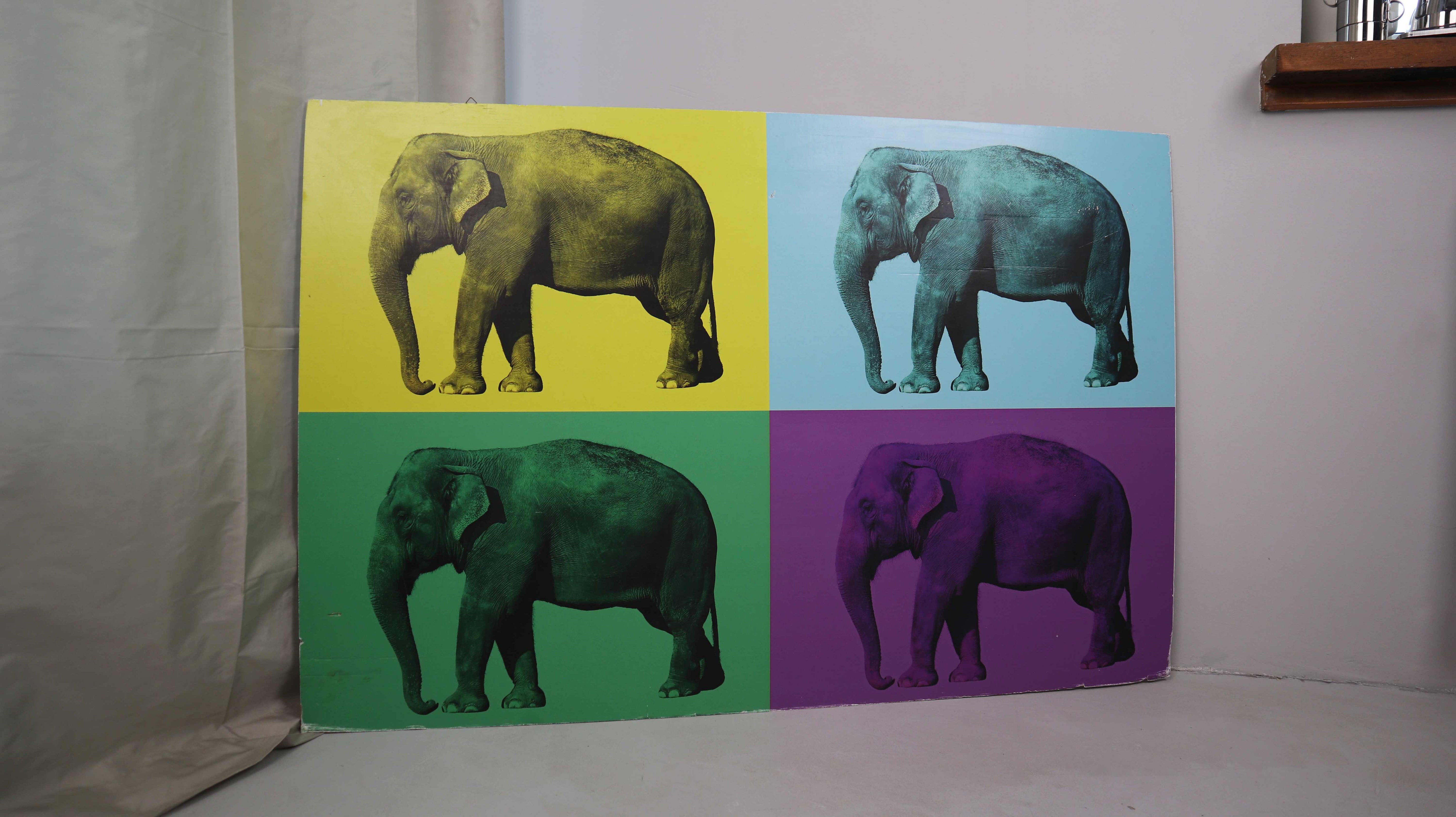 Bild Elefanten Wandbild Bunt Pappbild bedruckt Elefant Multicolor