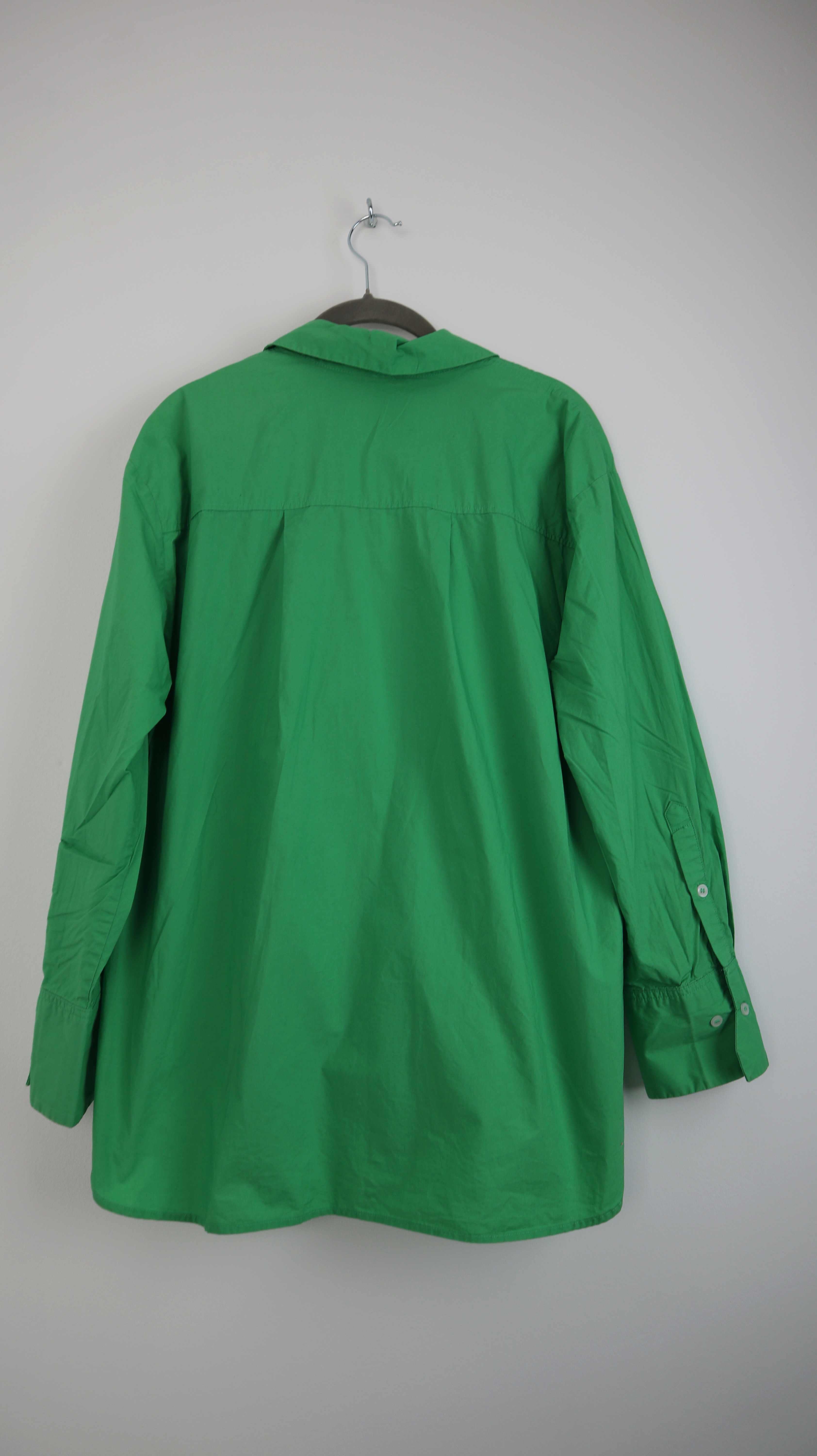 Mango Bluse Grün Hemd basic einfarbig 36 S